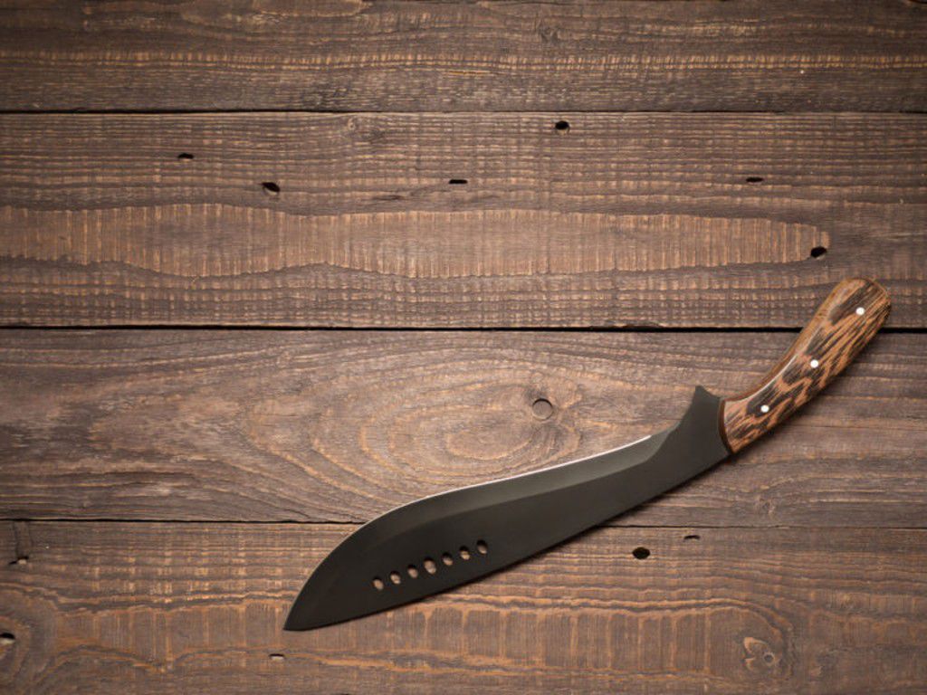 machete-2-shutterstock_1076702282-768x576-1.jpg.optimal.jpg