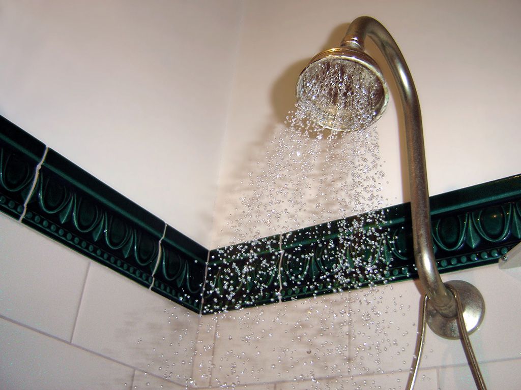 resize84932Showerhead.jpg.optimal.jpg