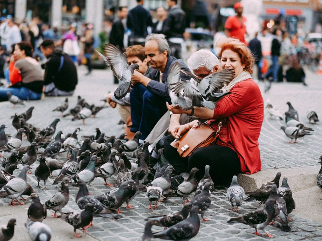 resizebirds-1541700296100.jpg.optimal.jpg