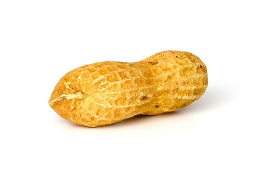 resizepeanut-1750_640.jpg.optimal.jpg