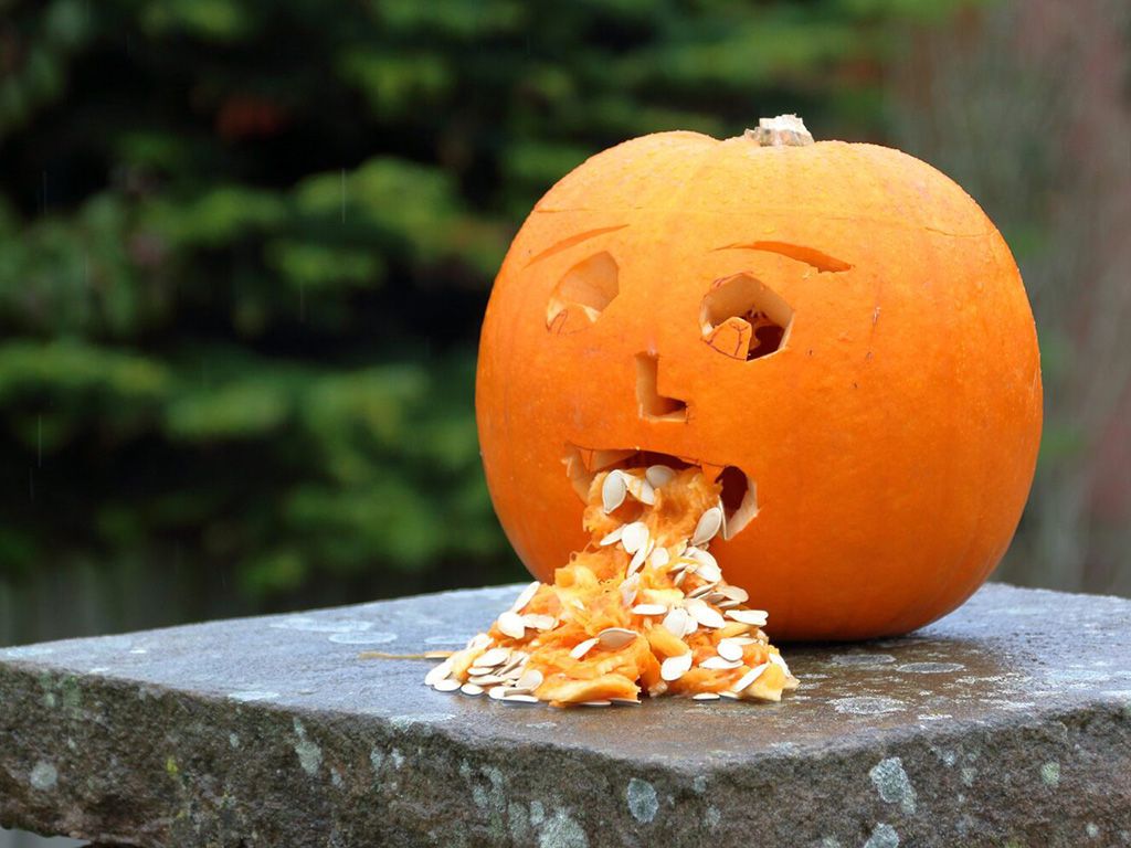 resizepumpkin-3630614_1920-1536x998-1.jpg.optimal.jpg