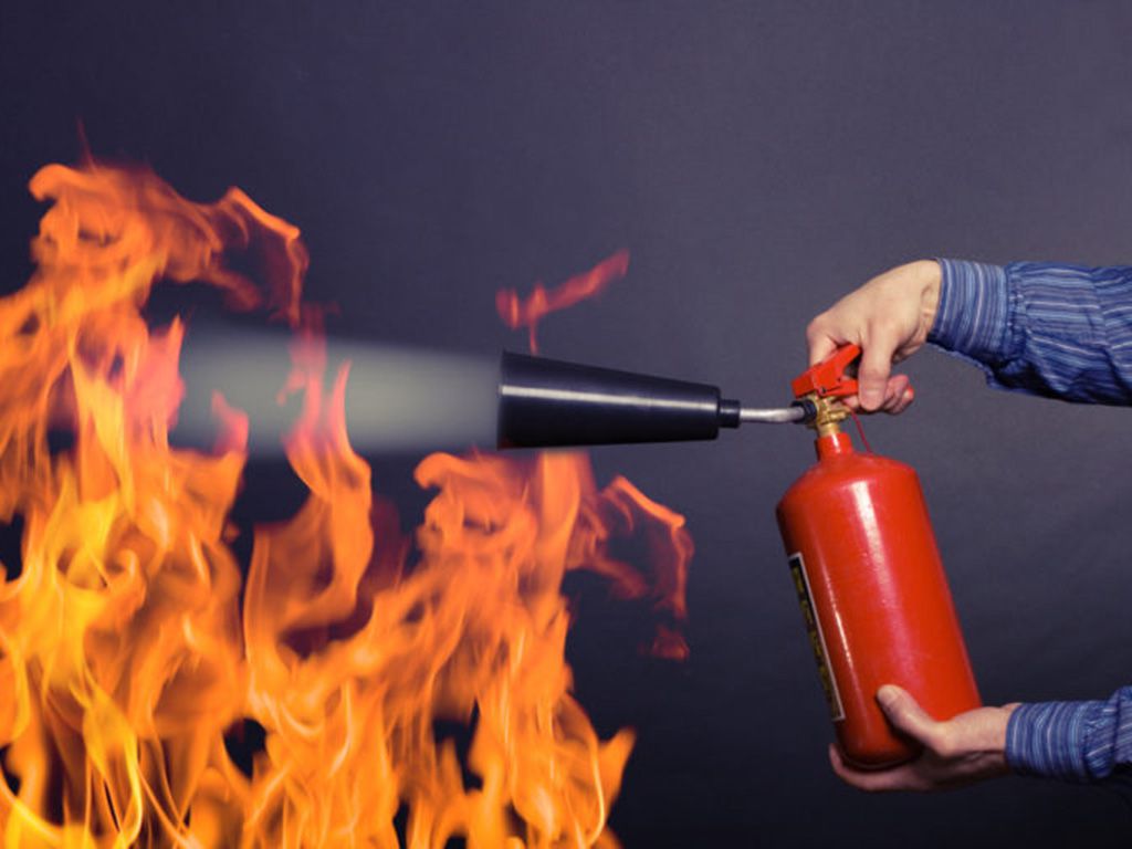 resizeshutterstock_100065062-768x512-1.jpg.optimal.jpg