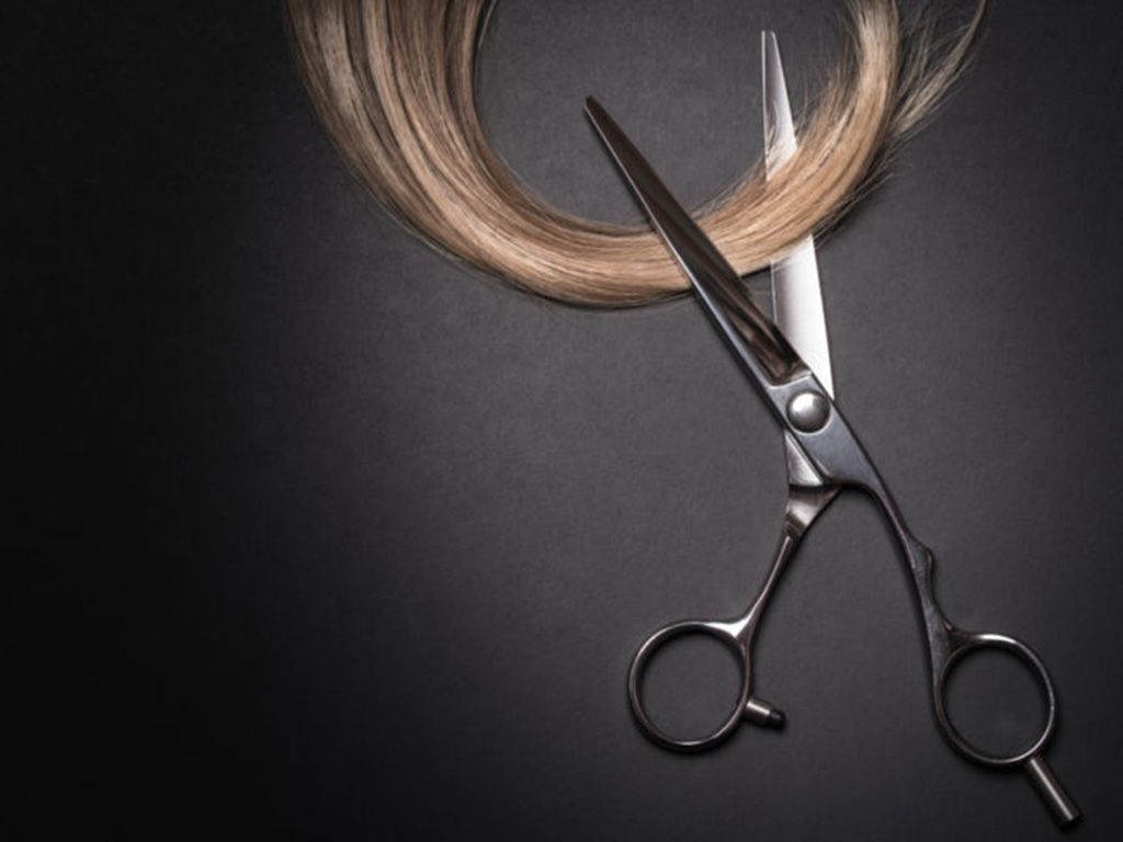 resizeshutterstock_1455030185-768x513-1.jpg.optimal.jpg