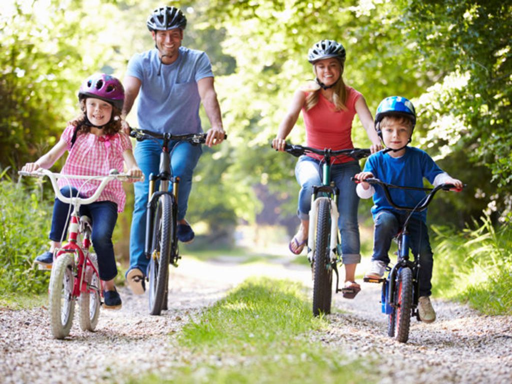 resizeshutterstock_165826010-768x512-1.jpg.optimal.jpg