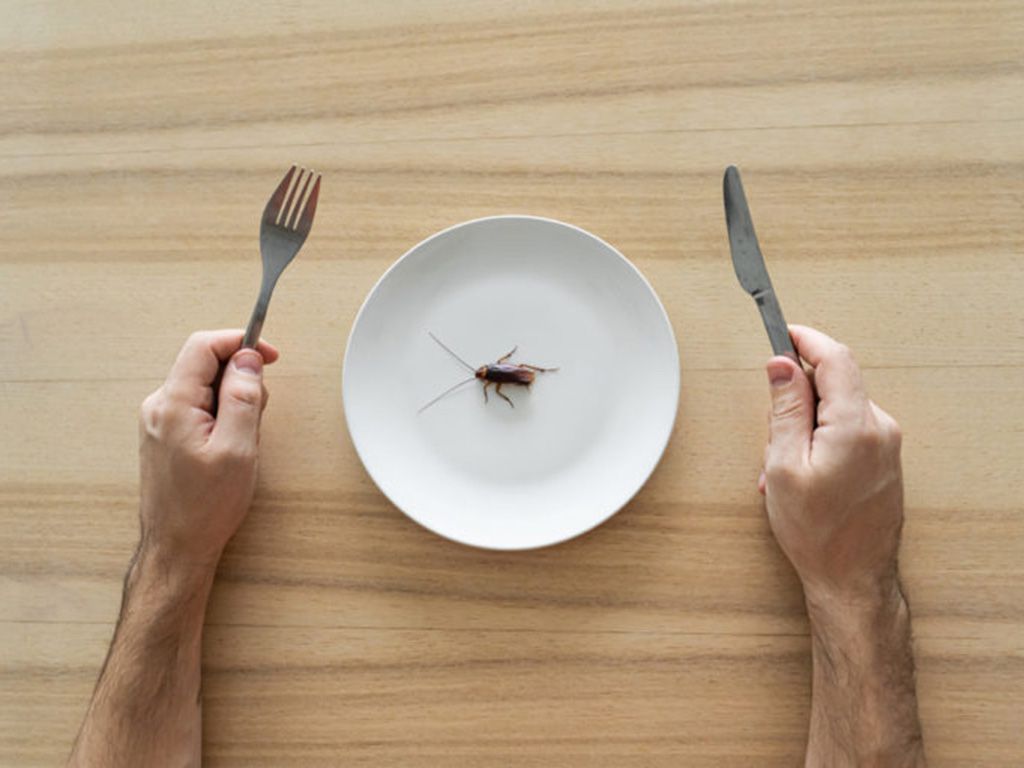 resizeshutterstock_1795401865-768x512-1.jpg.optimal.jpg