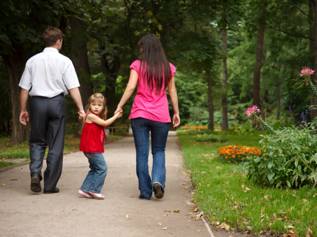 resizeshutterstock_45704464-768x512-1.png