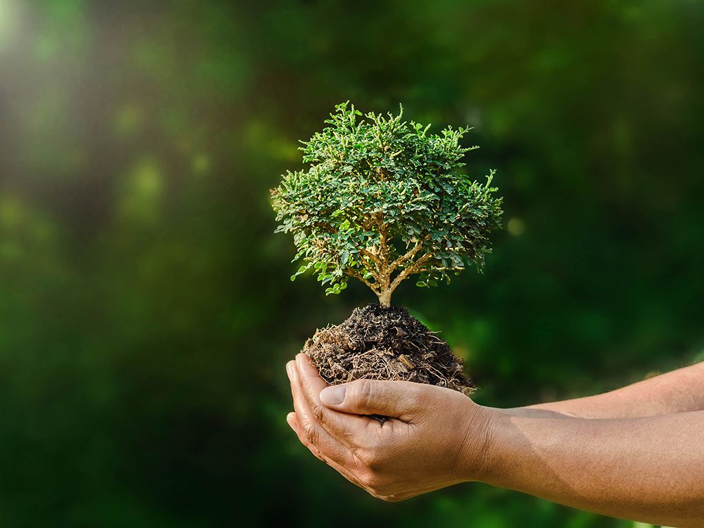 resizeshutterstock_614645507.jpg.optimal.jpg