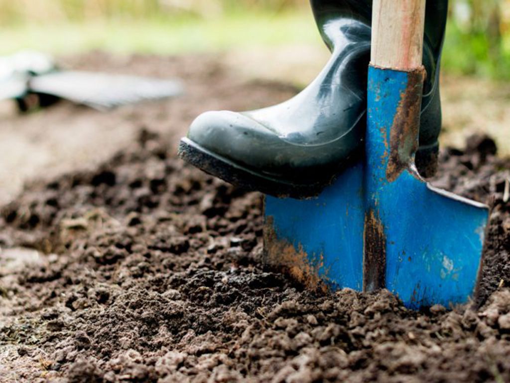 resizeshutterstock_695293162-768x512-1.jpg.optimal.jpg