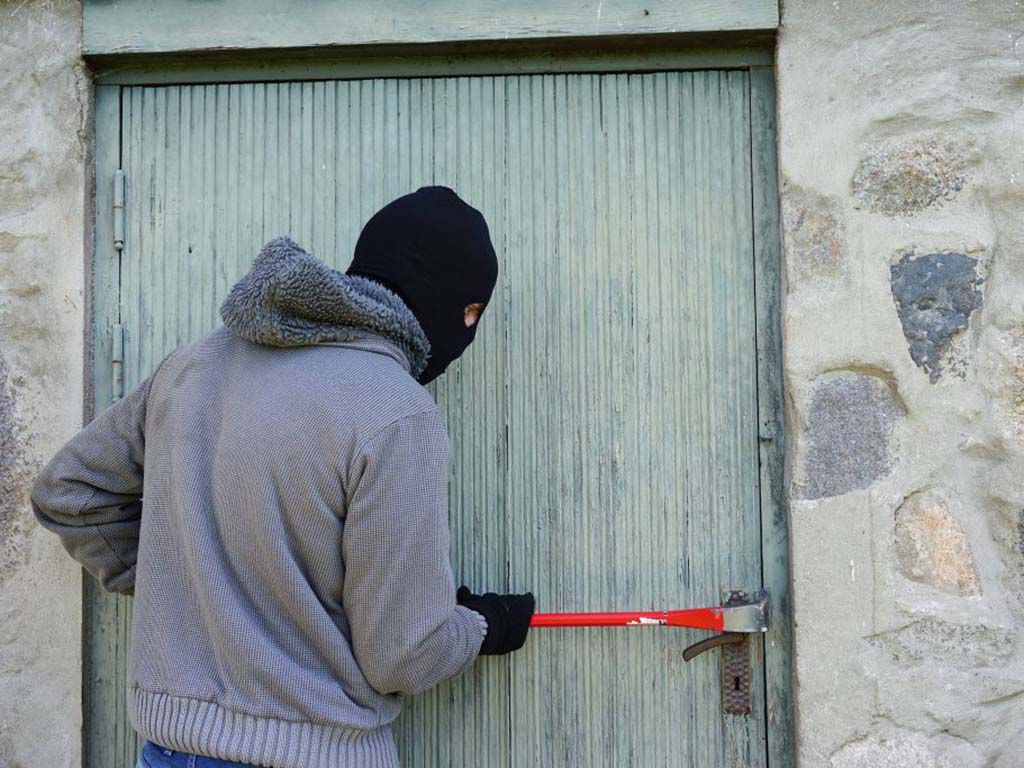 resizethief-1562699-1024x683-1.jpg.optimal.jpg