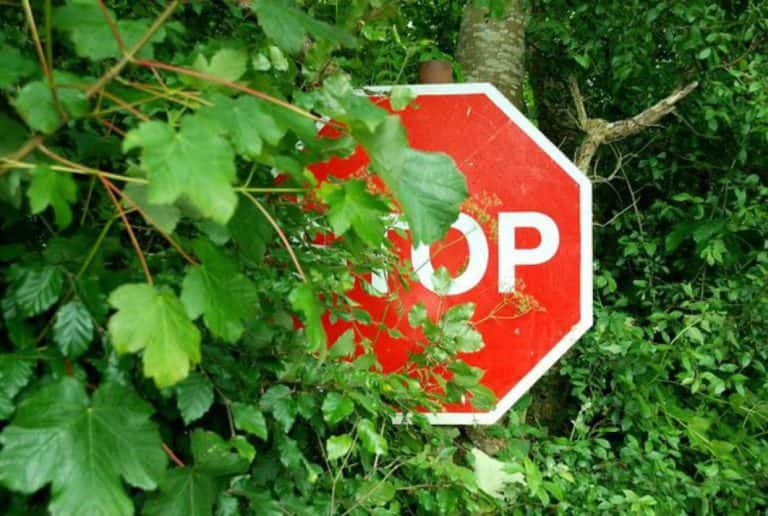 Road_sign_near_Donegore_-_geograph-768x516-1.jpg.optimal.jpg
