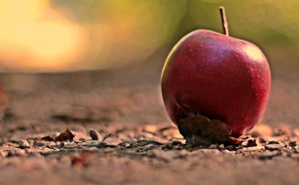 apple-3739227-1024x633-1.jpg.optimal.jpg