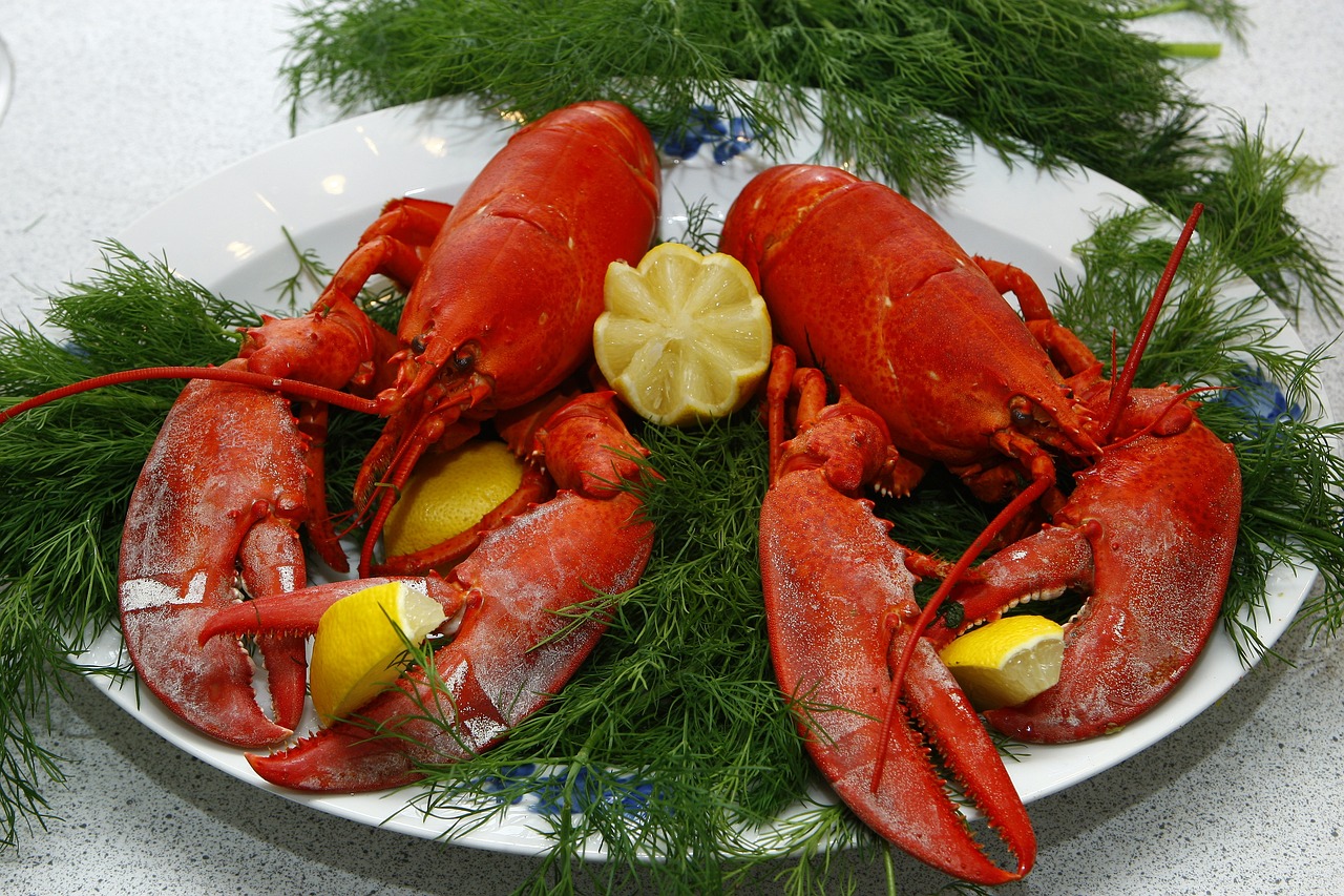 lobster-1608440_1280.jpg