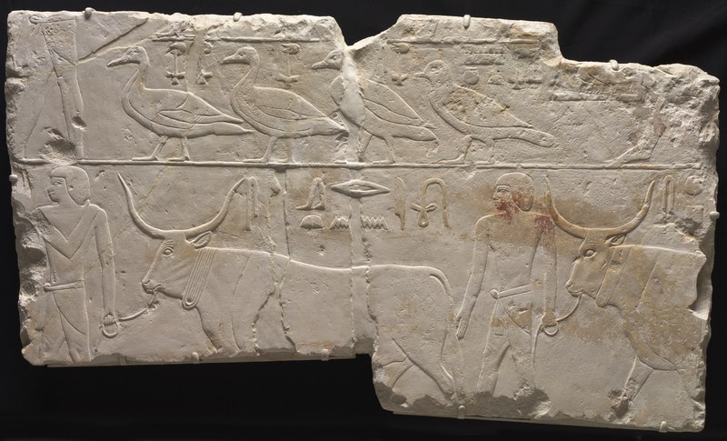 lossy-page1-800px-egyptsaqqaraoldkingdomearlydynasty62311-2140bc-reliefofmenbringingbirdsandcattle-1930738-clevelandmuseumofarttif.jpg