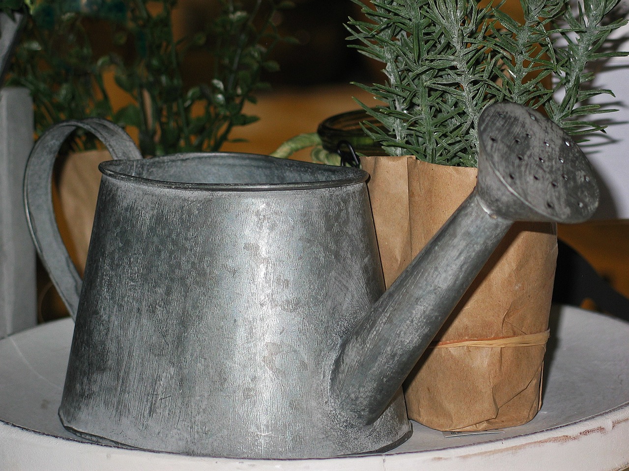 watering-can-1342761_1280.jpg