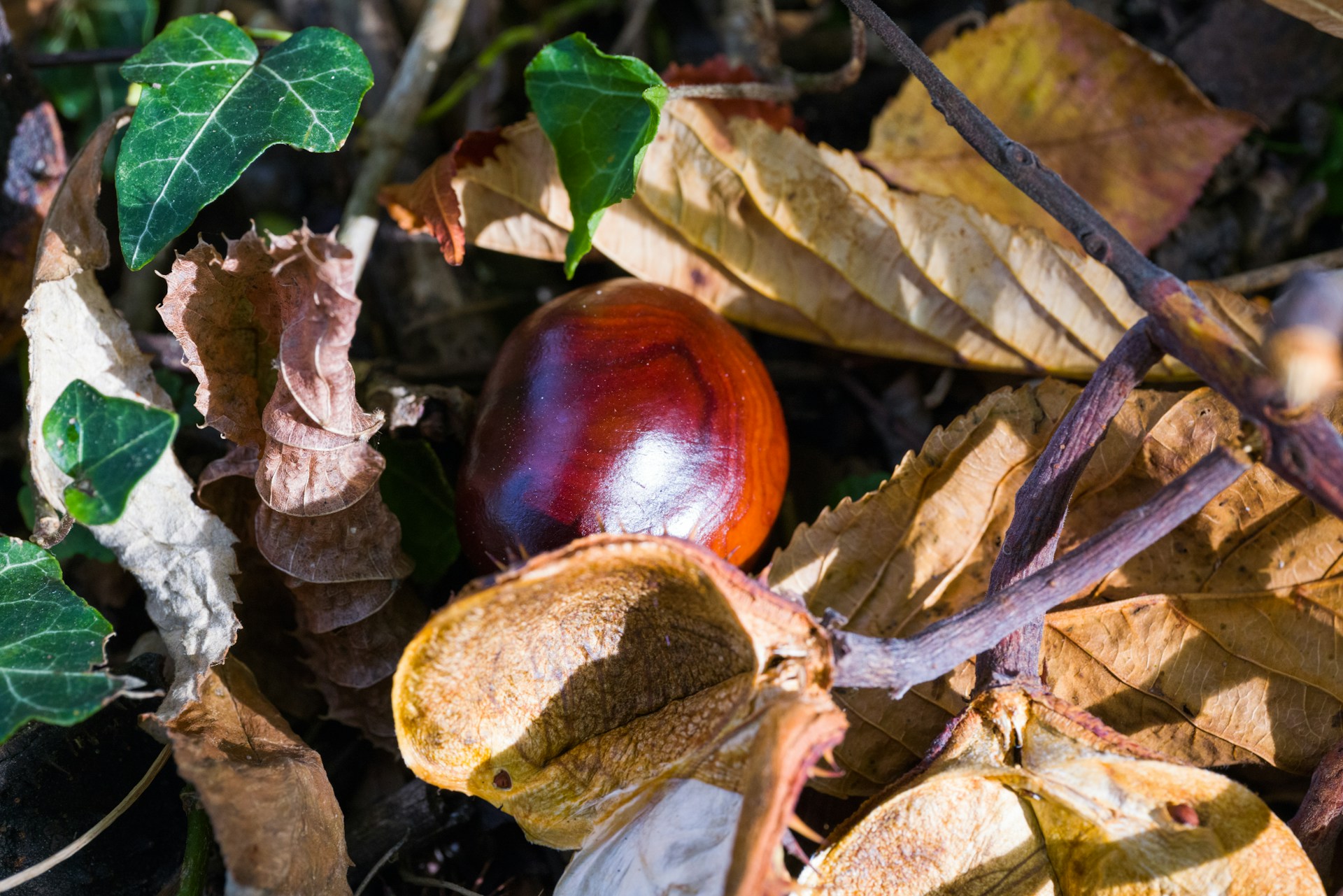 Georg-Eiermann-Vj8Mlqmwfjc-Unsplash