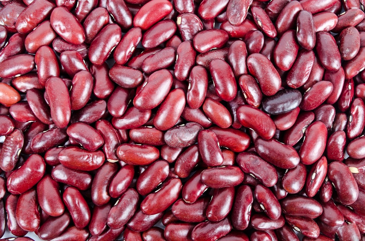 beans-316592_1280.jpg
