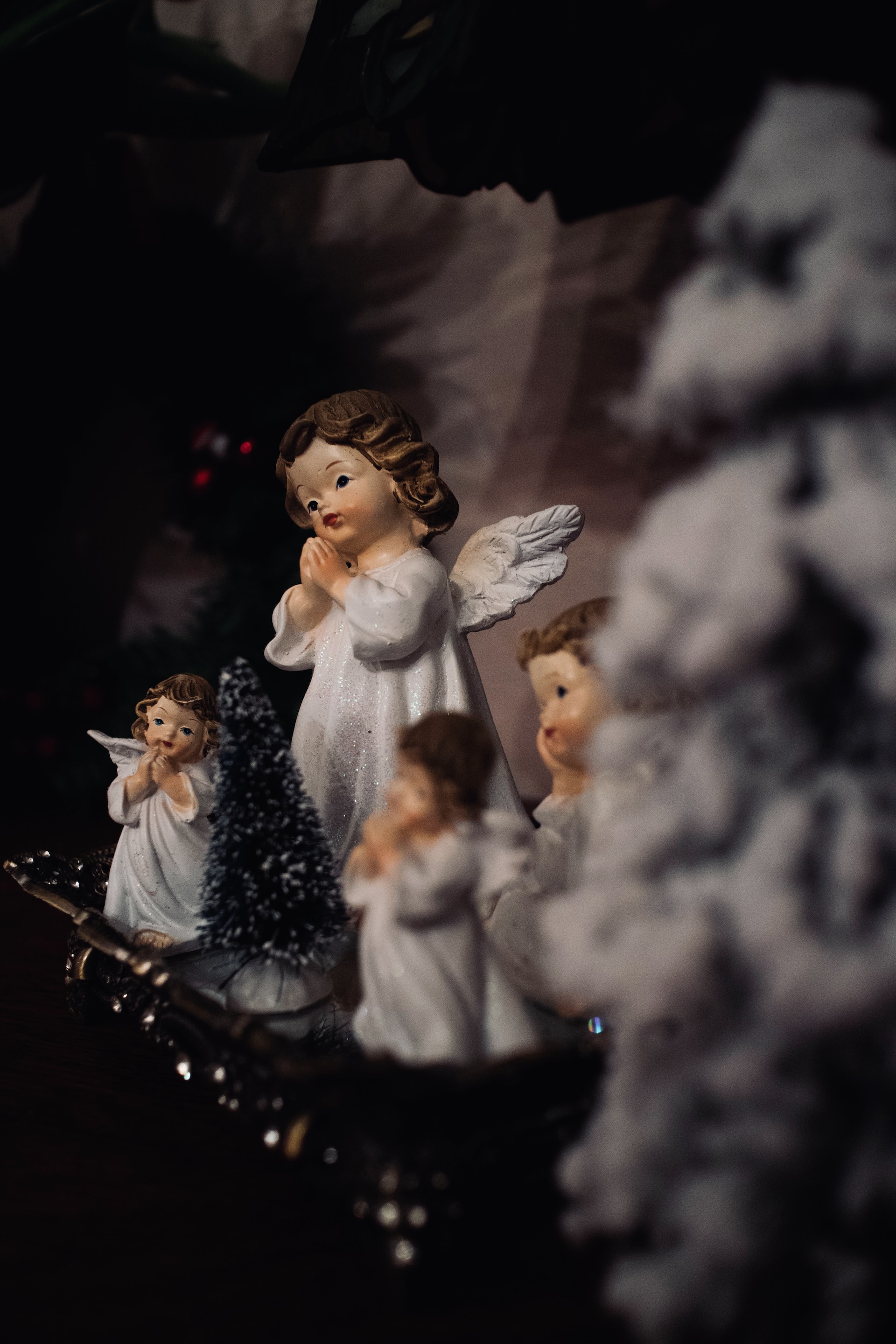 Ripley-Elisabeth-Brown-E3Tnhzejnvg-Unsplash