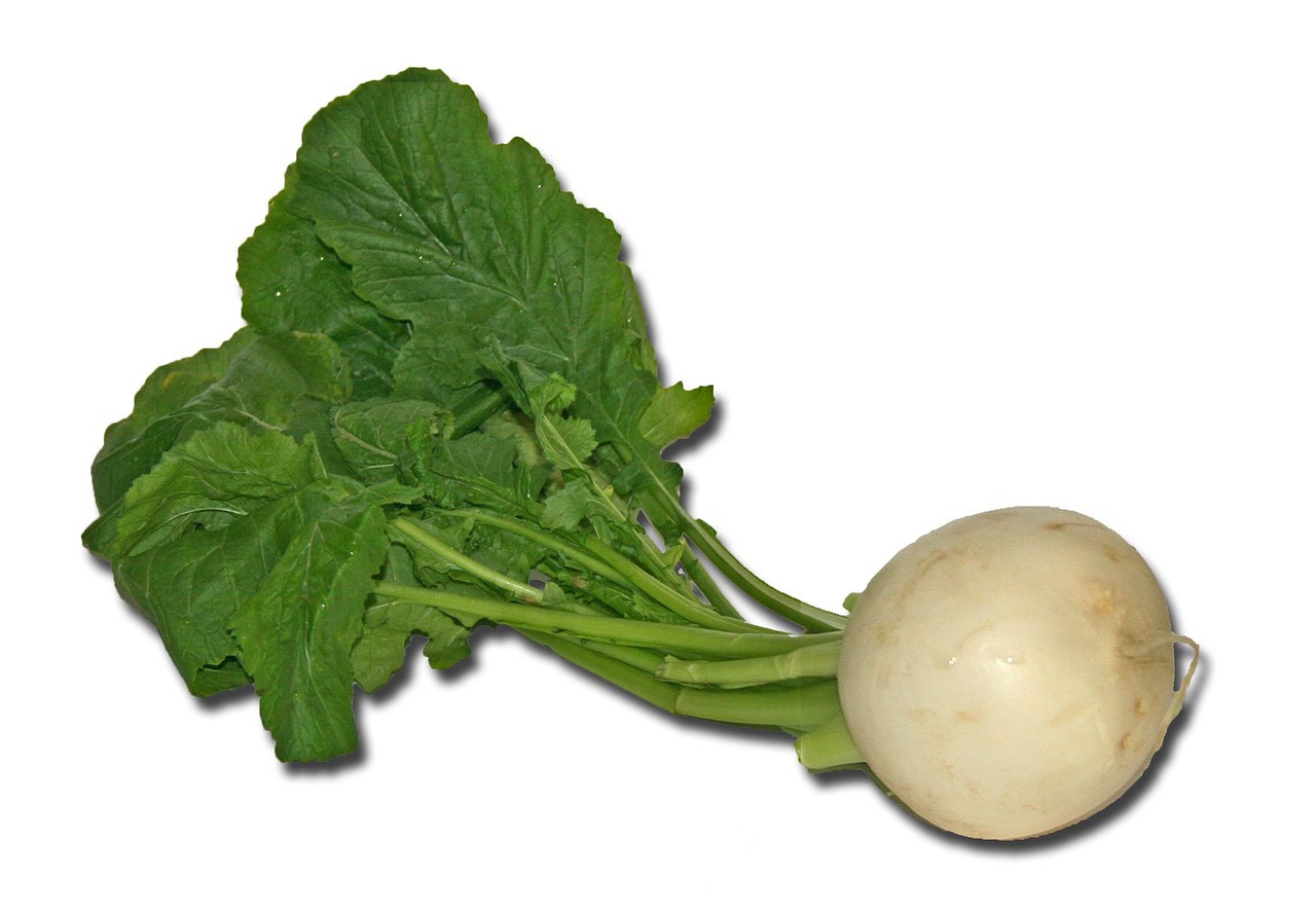 turnip-1129_1280.jpg