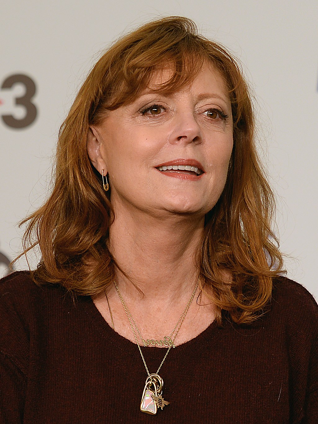 1024Px-Susan Sarandon, Festival De Sitges 2017 (Cropped)