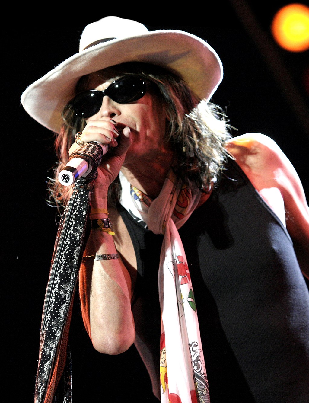 Steven Tyler Performing