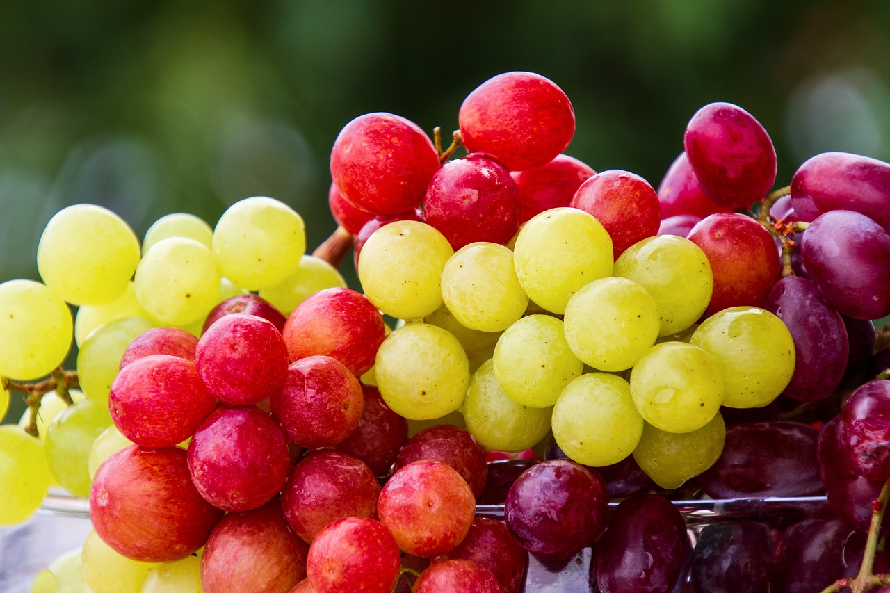 grapes-g6264b748c_1280.jpg