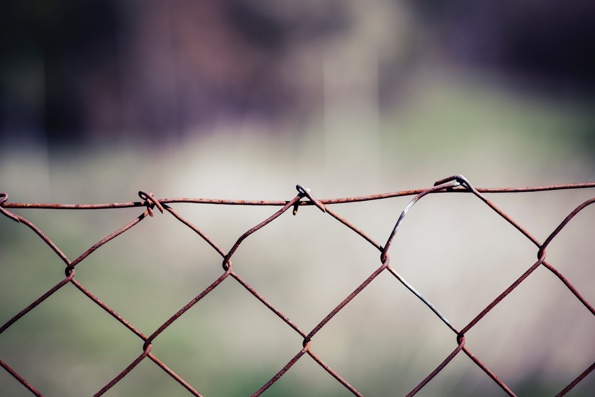 Markus-Spiske-Eydlkesktjs-Unsplash