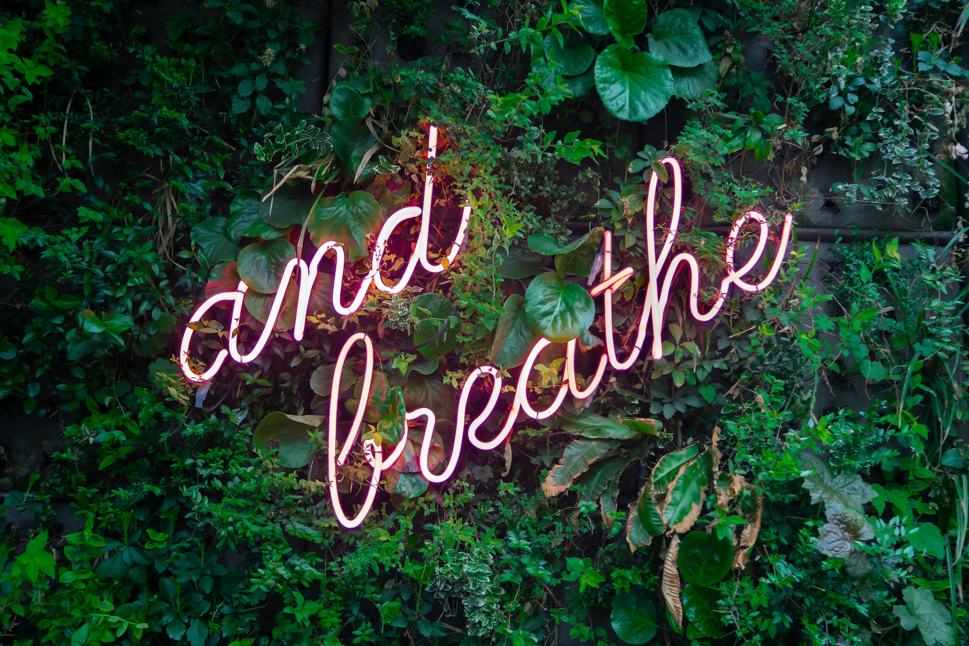 Max-Van-Den-Oetelaar-Buymym3Rq3U-Unsplash