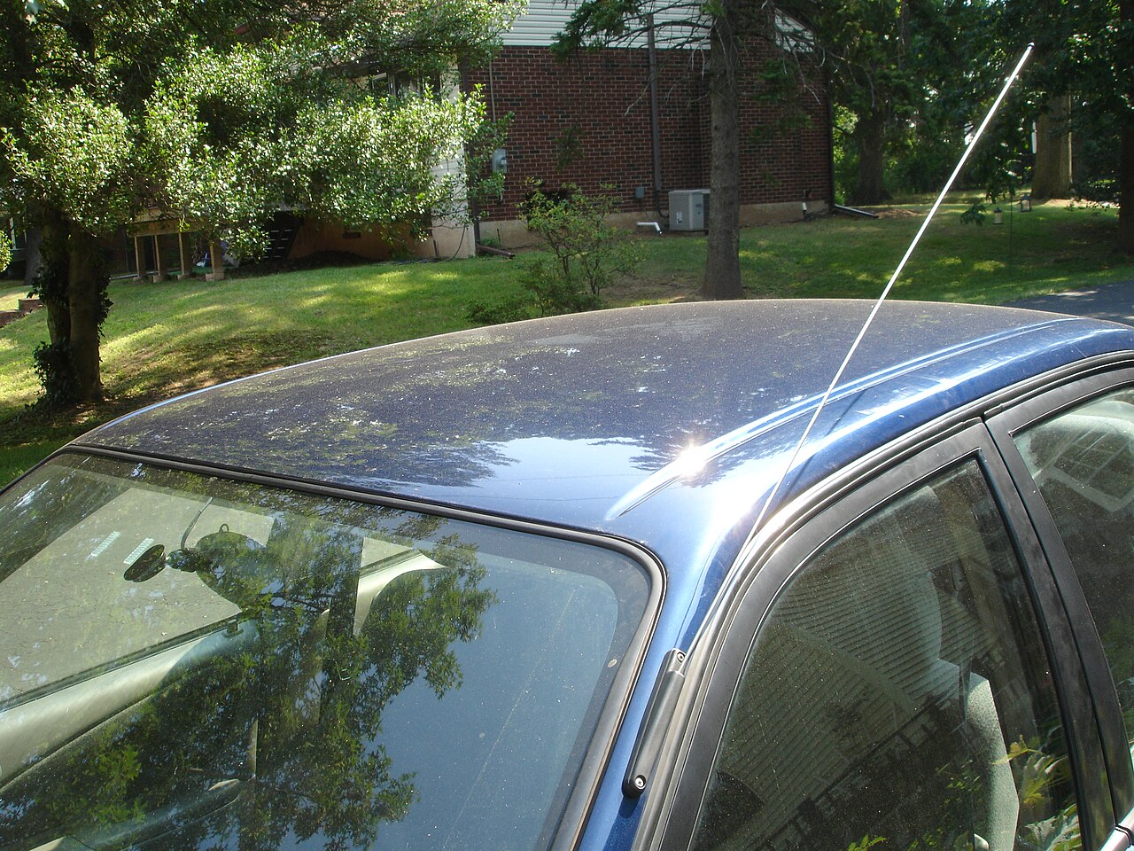 Car Radio Antenna Extended Landscape