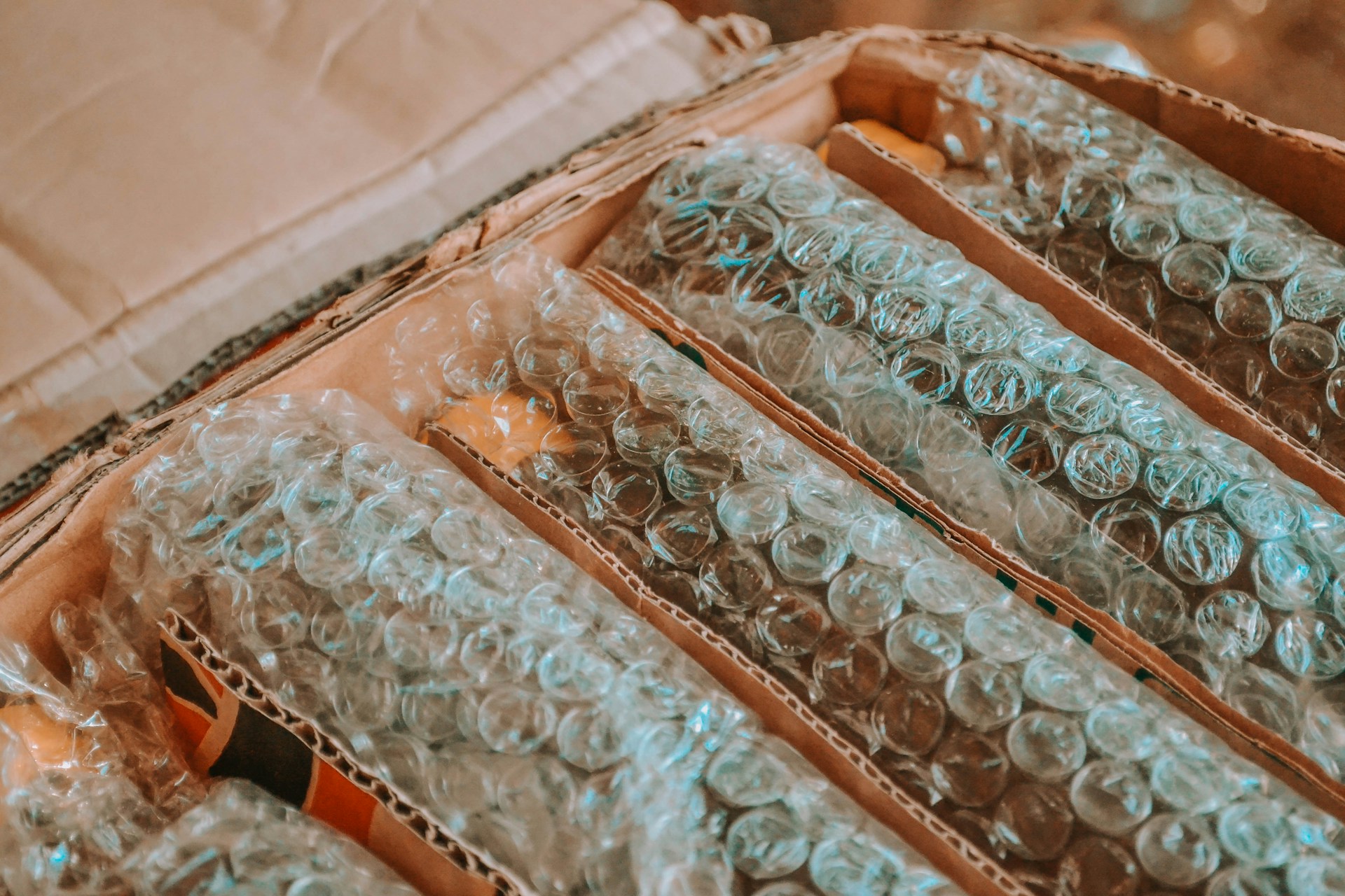 Wander-Fleur-Pdflnmumuzk-Unsplash