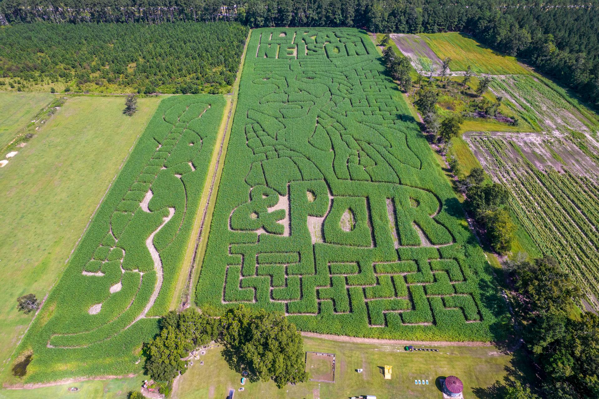 Pexels-Nc-Farm-Bureau-Mark-9407553