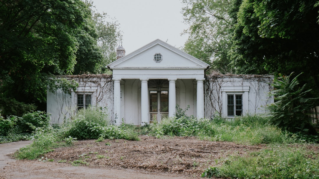 trees beside concrete house