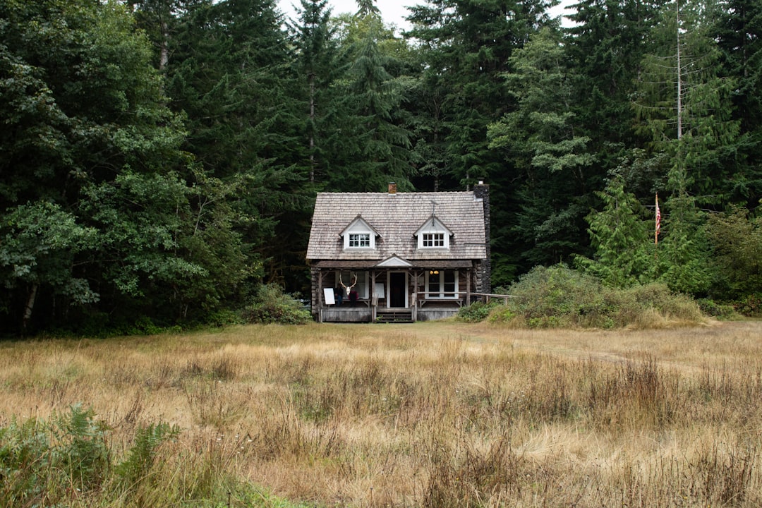 A house in the middle of a field with trees in the background
