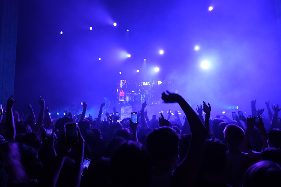 a crowd of people at a concert