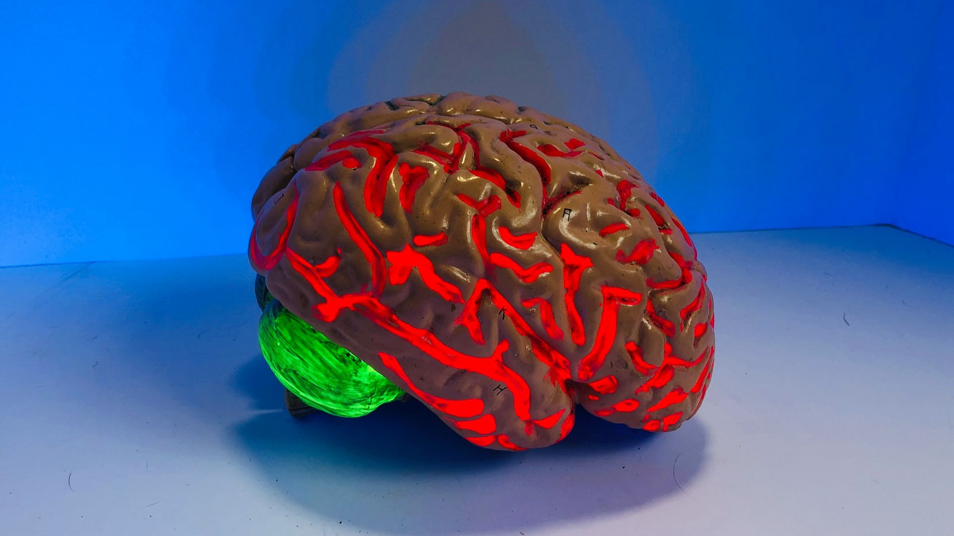 brain figurine