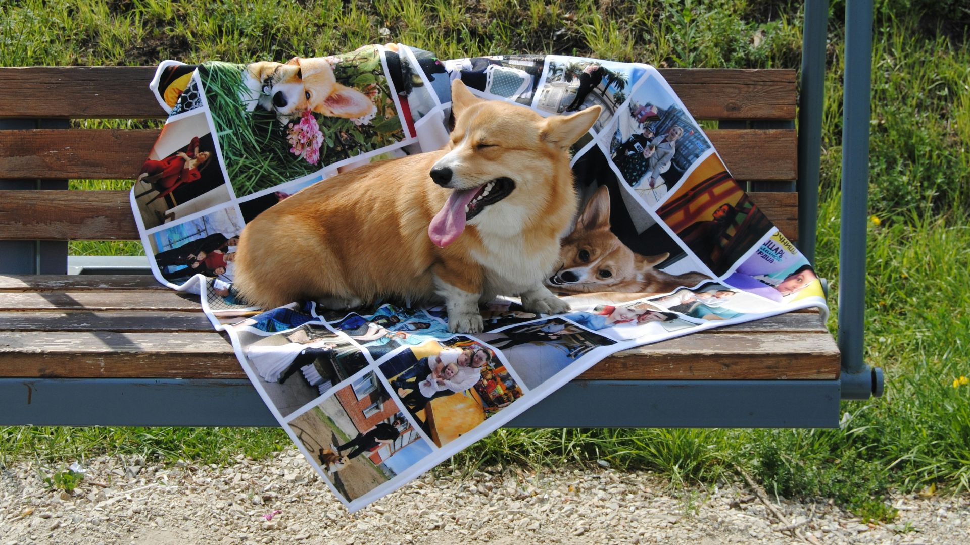 a dog laying on a blanket on a bench