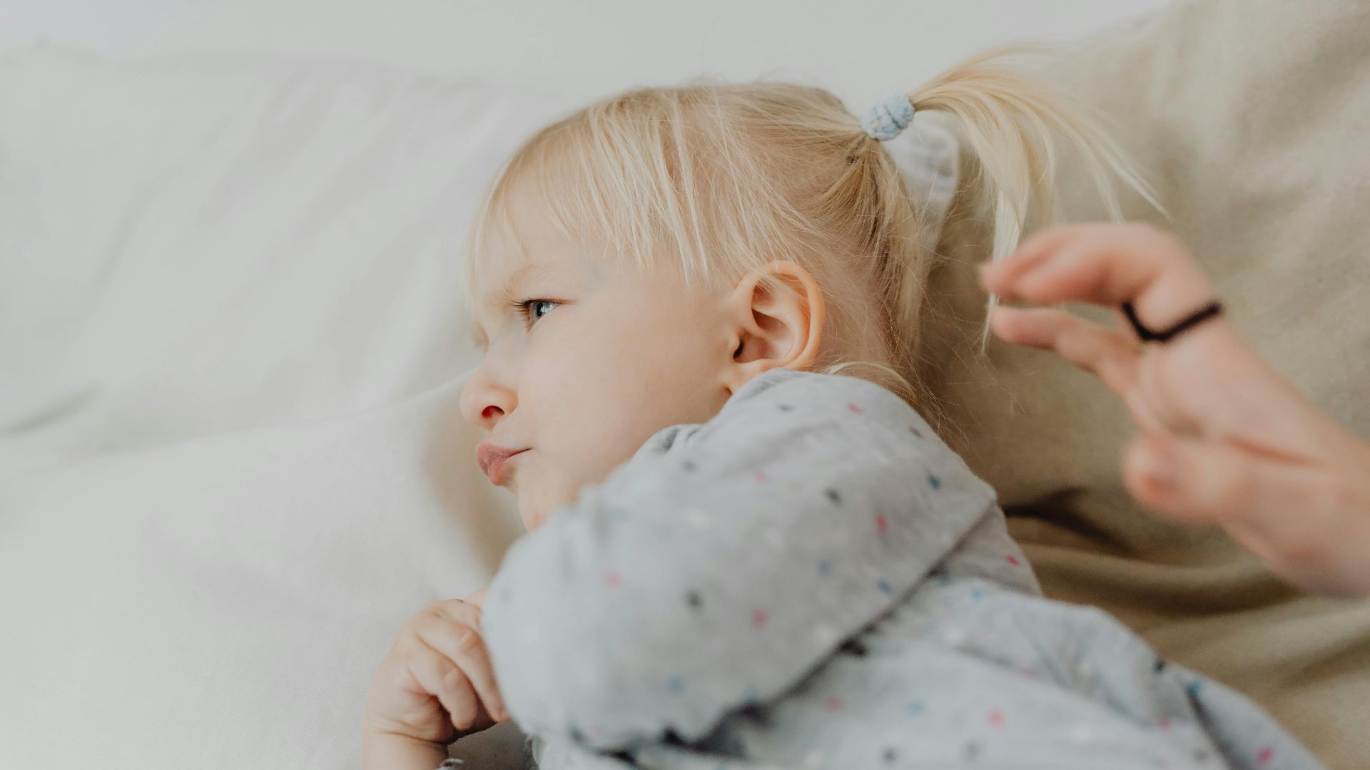 Photo By: Kaboompics.com