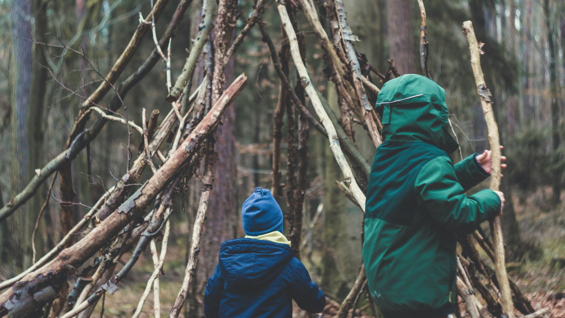 two people on forest