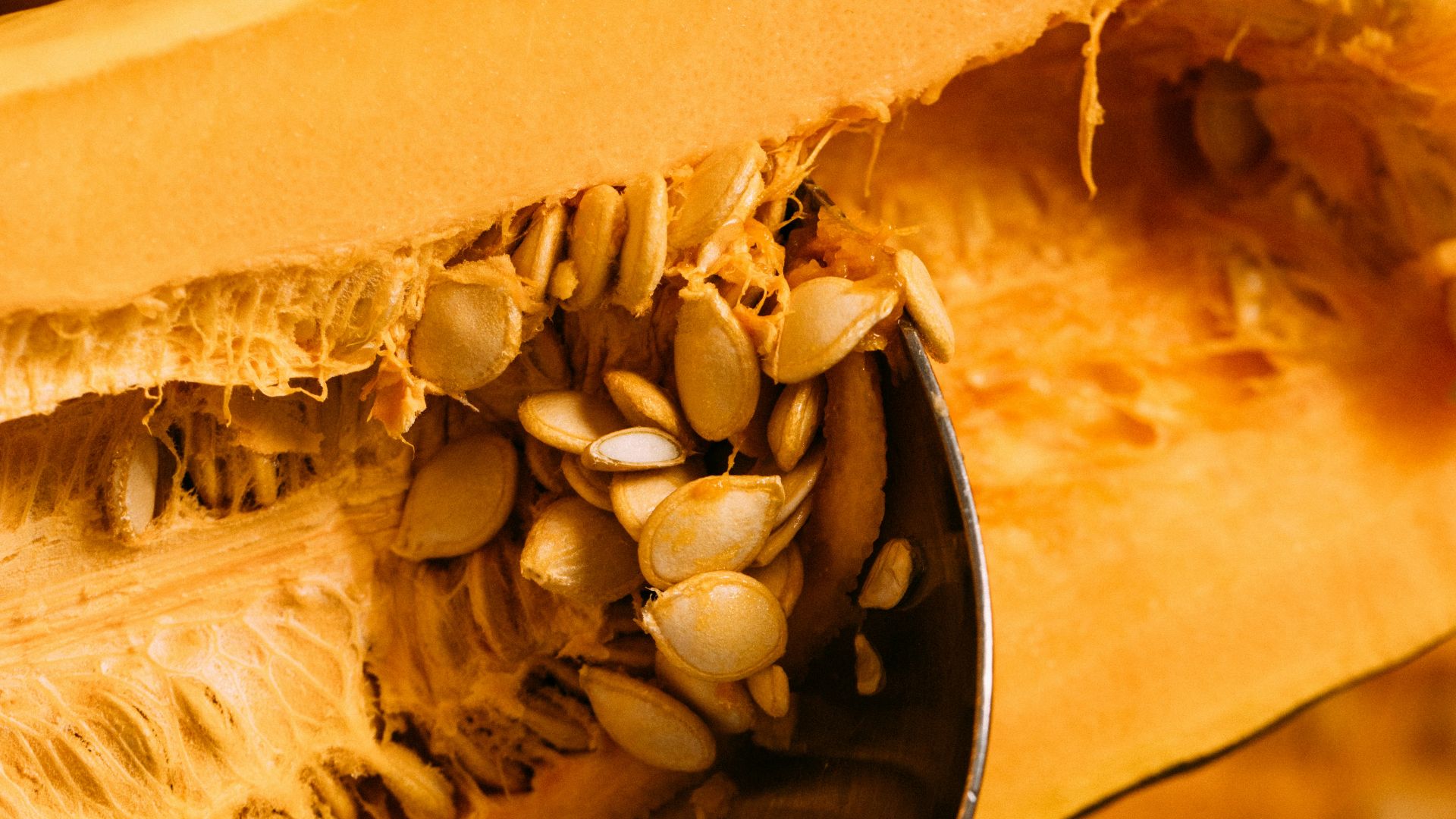 person holding sliced of yellow cheese