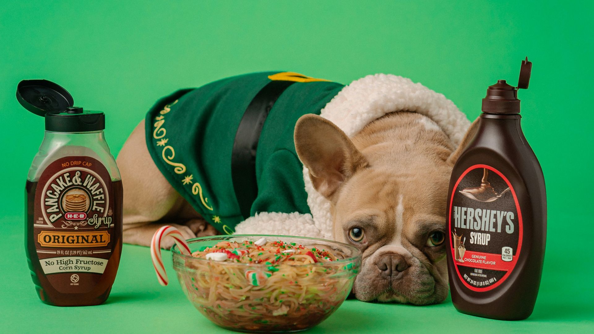 brown and white french bulldog in green and yellow hat