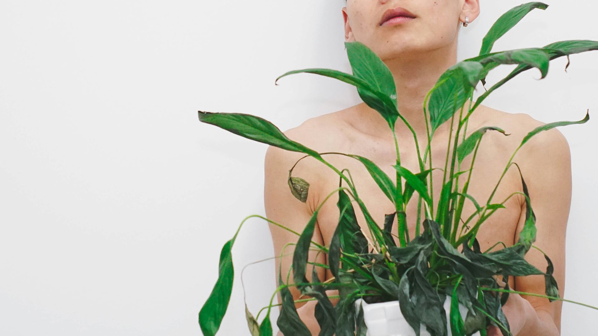 man holding green leaf plant with white background