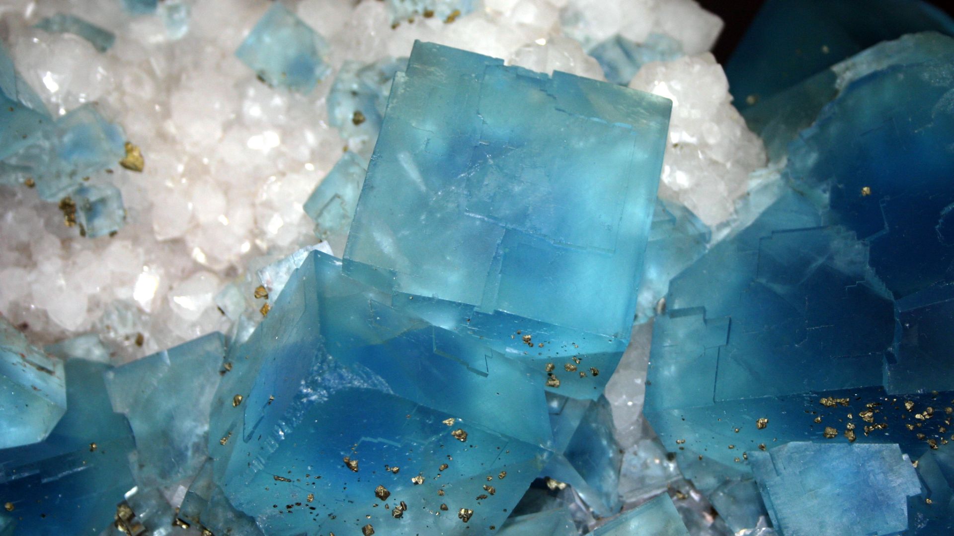 File:9104 - Milano - Museo storia naturale - Fluorite - Foto Giovanni Dall'Orto 22-Apr-2007.jpg