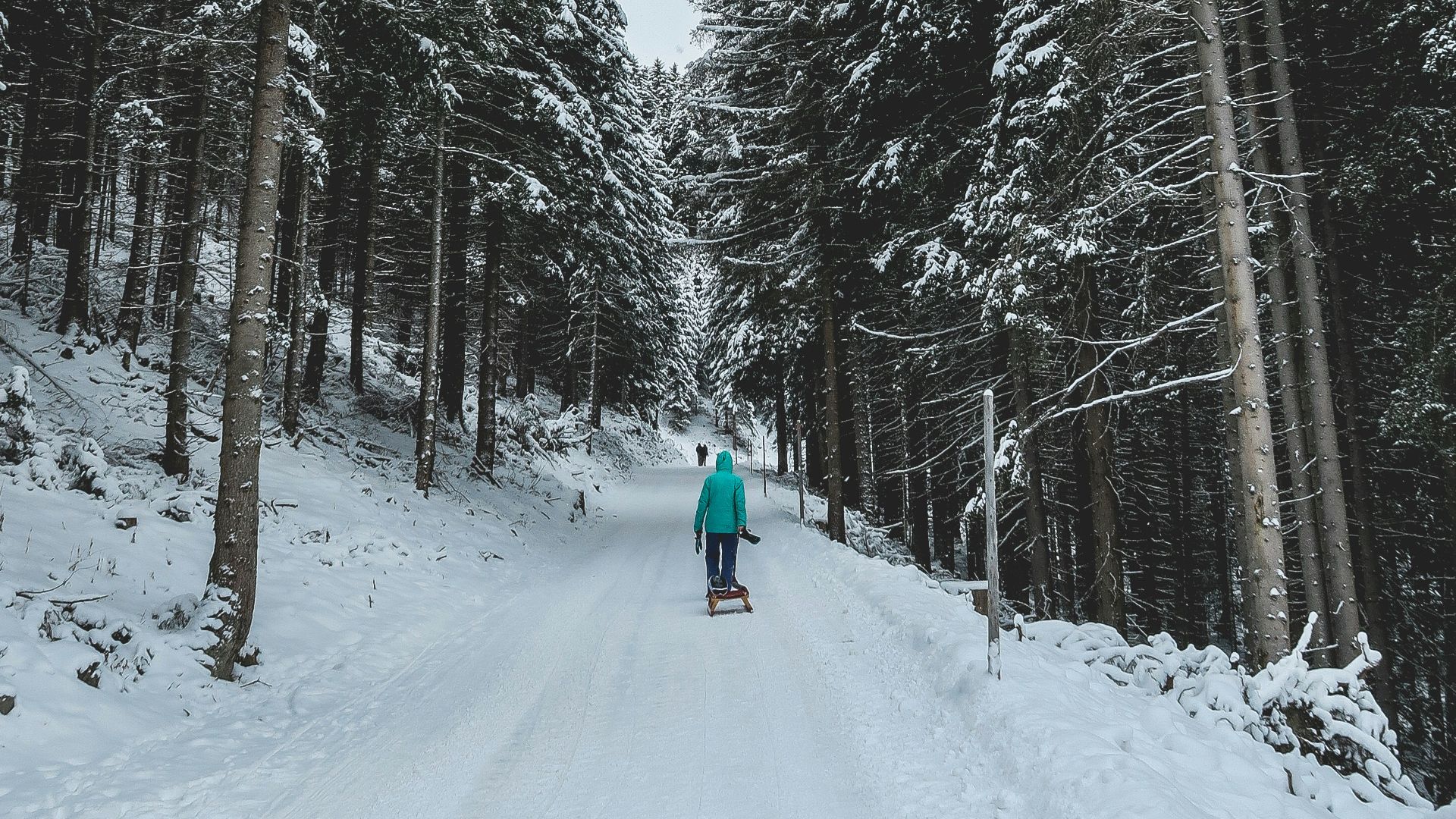 person walking on snowy forest trail