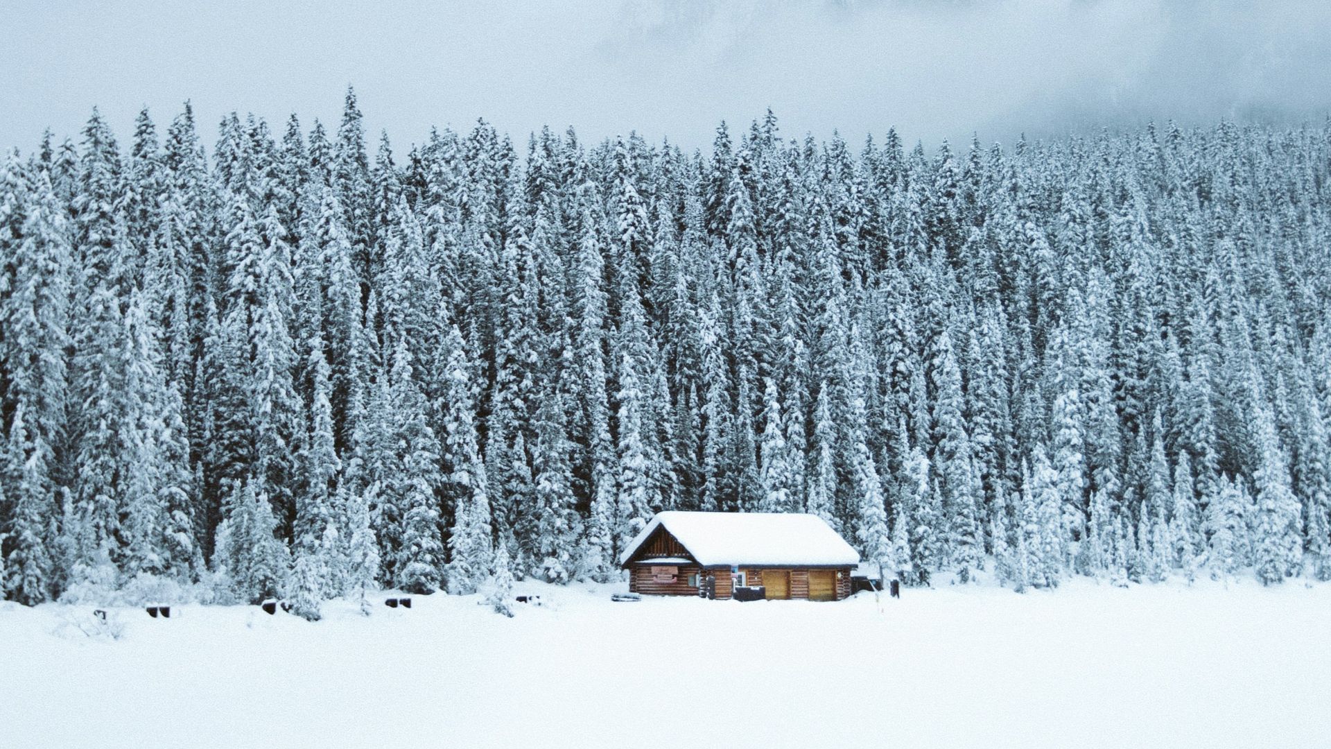 brown shack beside forest during snow