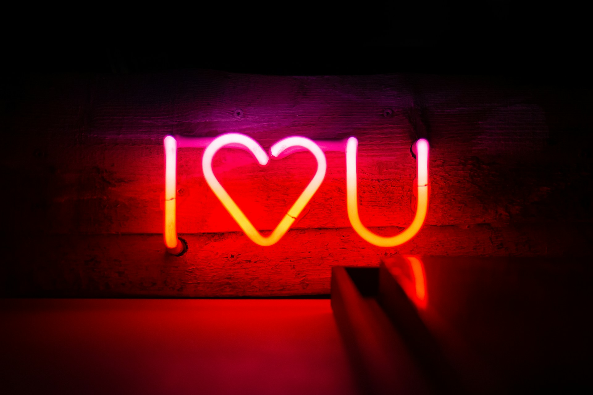 Bruno-Martins-Byyar8P38La-Unsplash