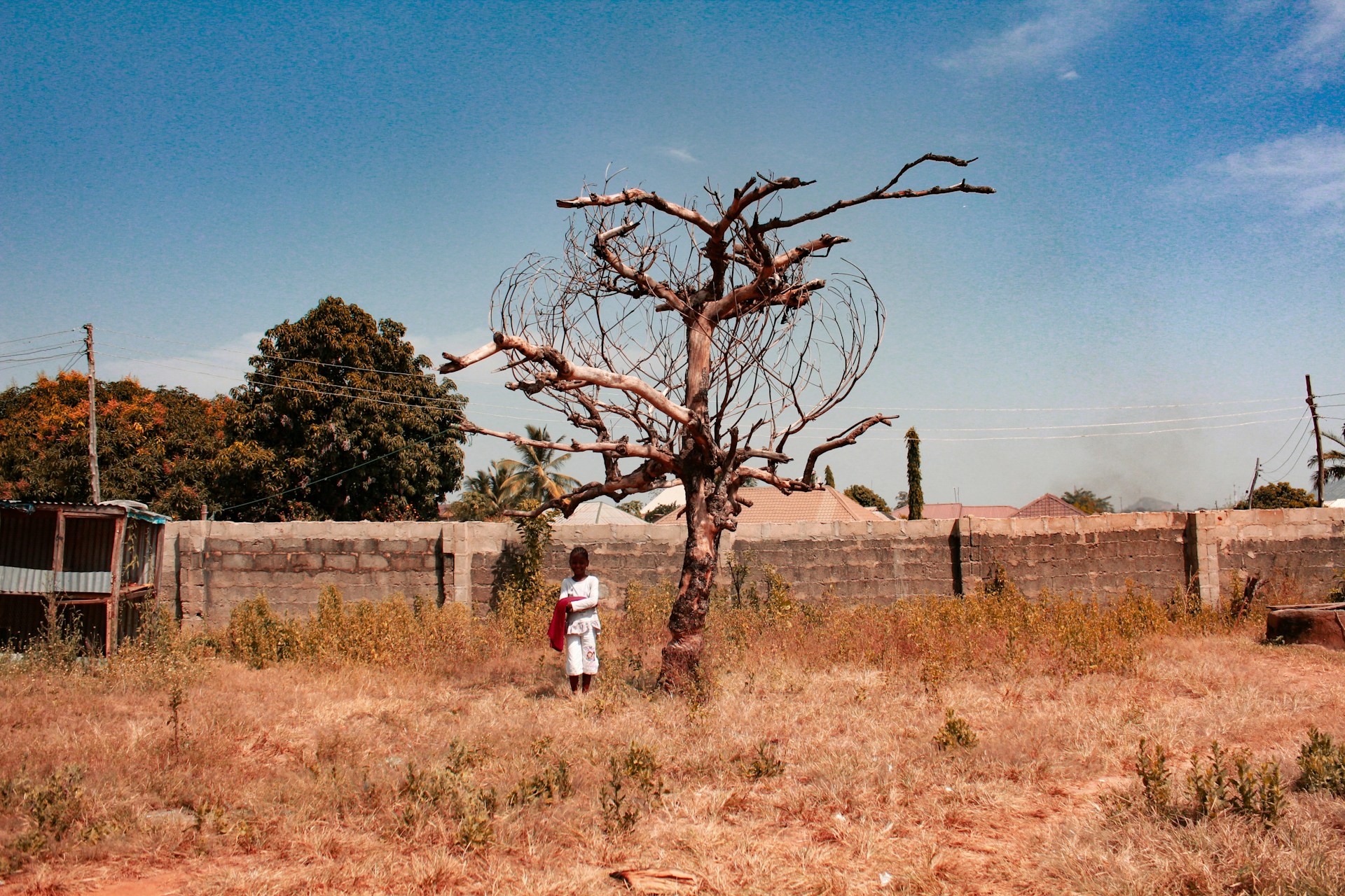 Muhammad-Taha-Ibrahim-5L2Css9Twlw-Unsplash