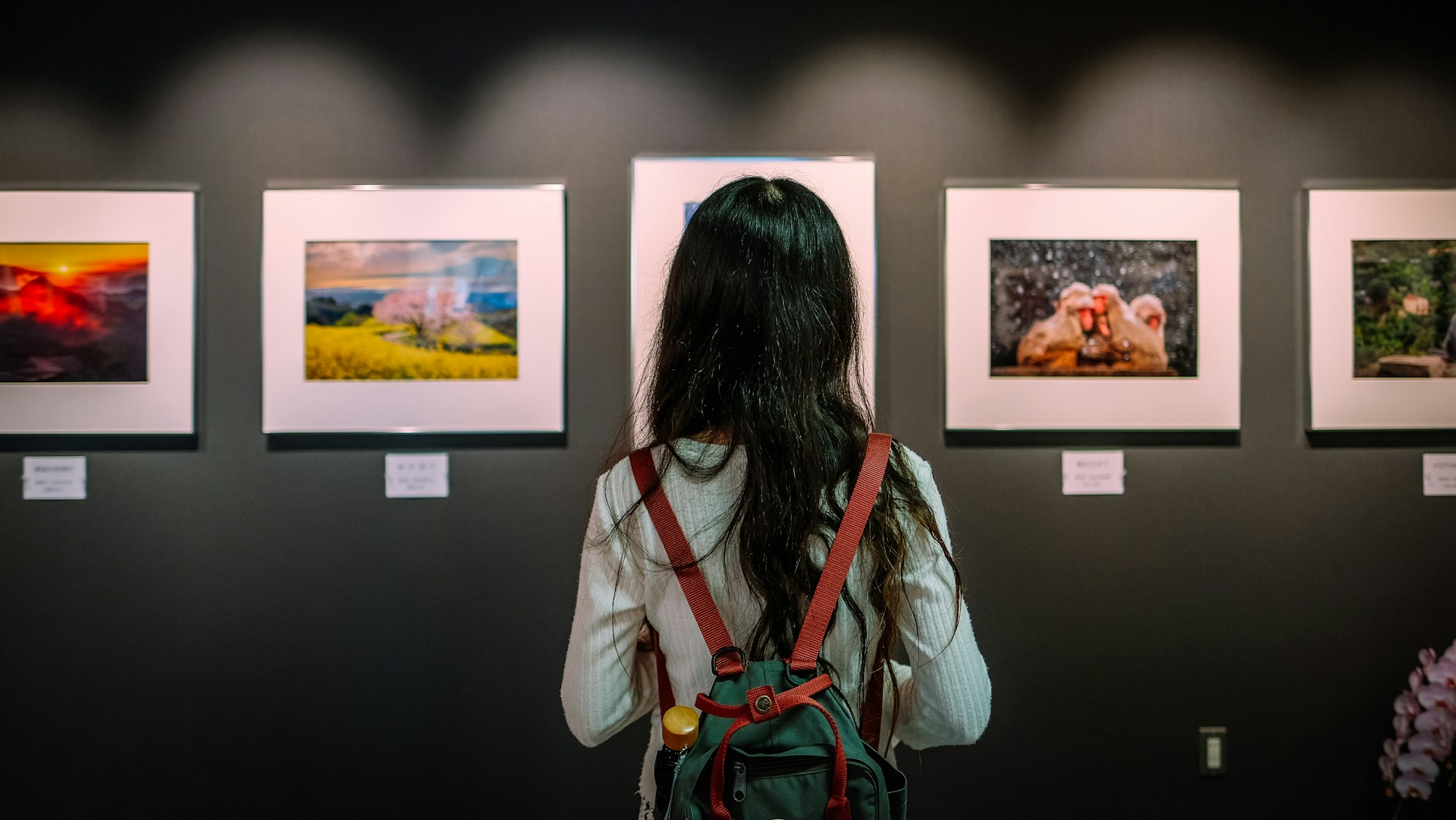 Wong-Zihoo-Bdfvri5J3Mw-Unsplash