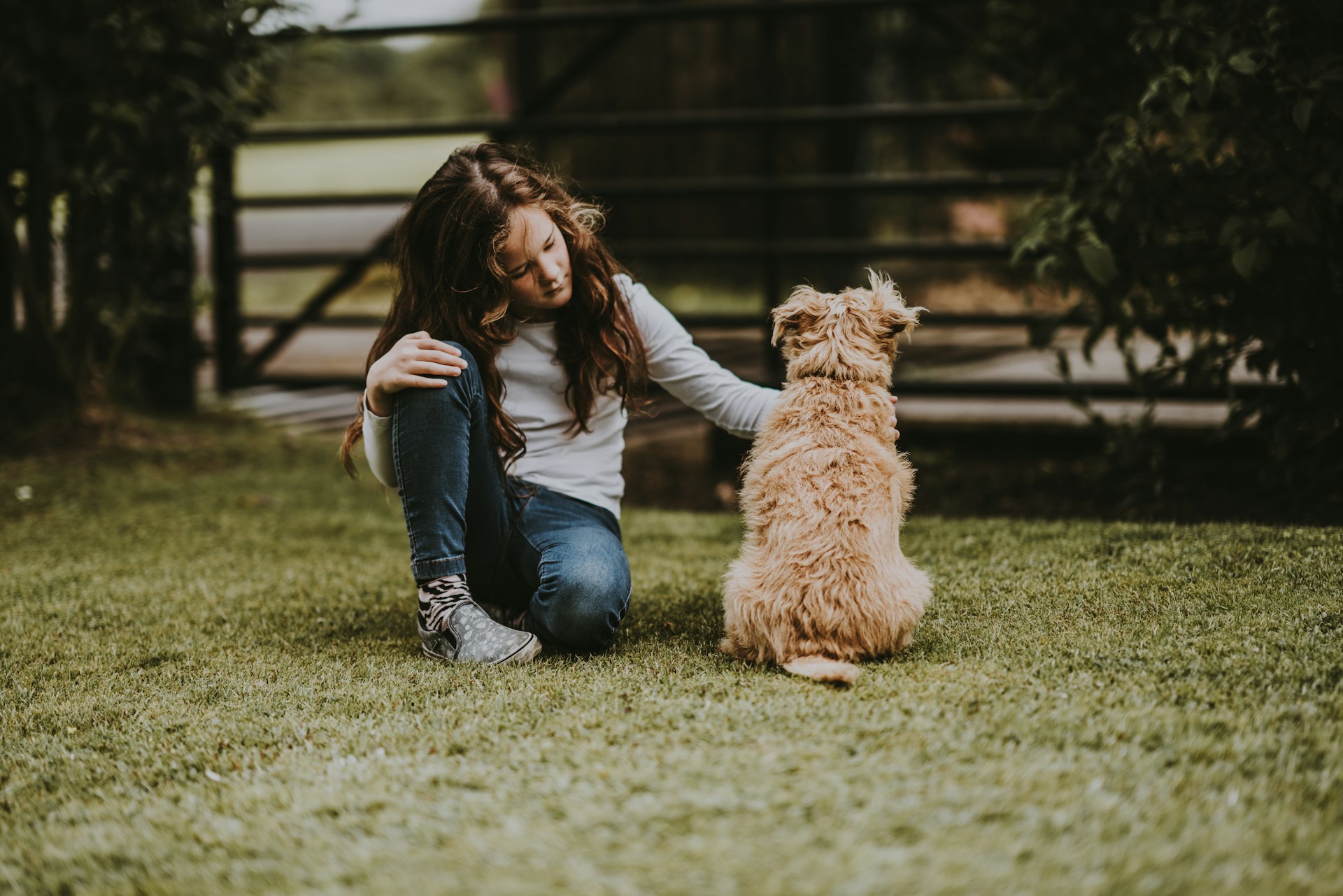 Annie-Spratt-1Wagvmybxwq-Unsplash