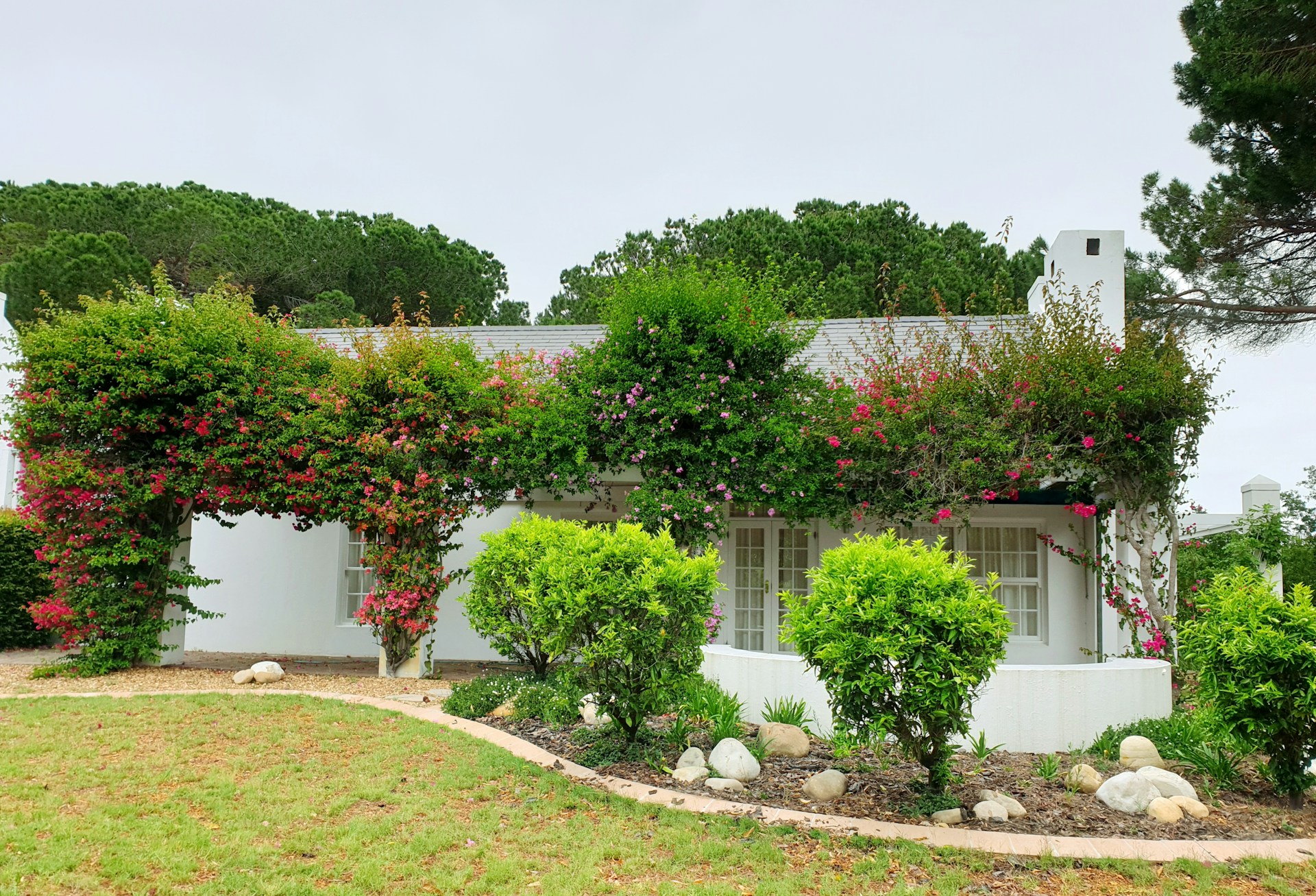 Tania-Melnyczuk-Dsoqhp-Alqw-Unsplash