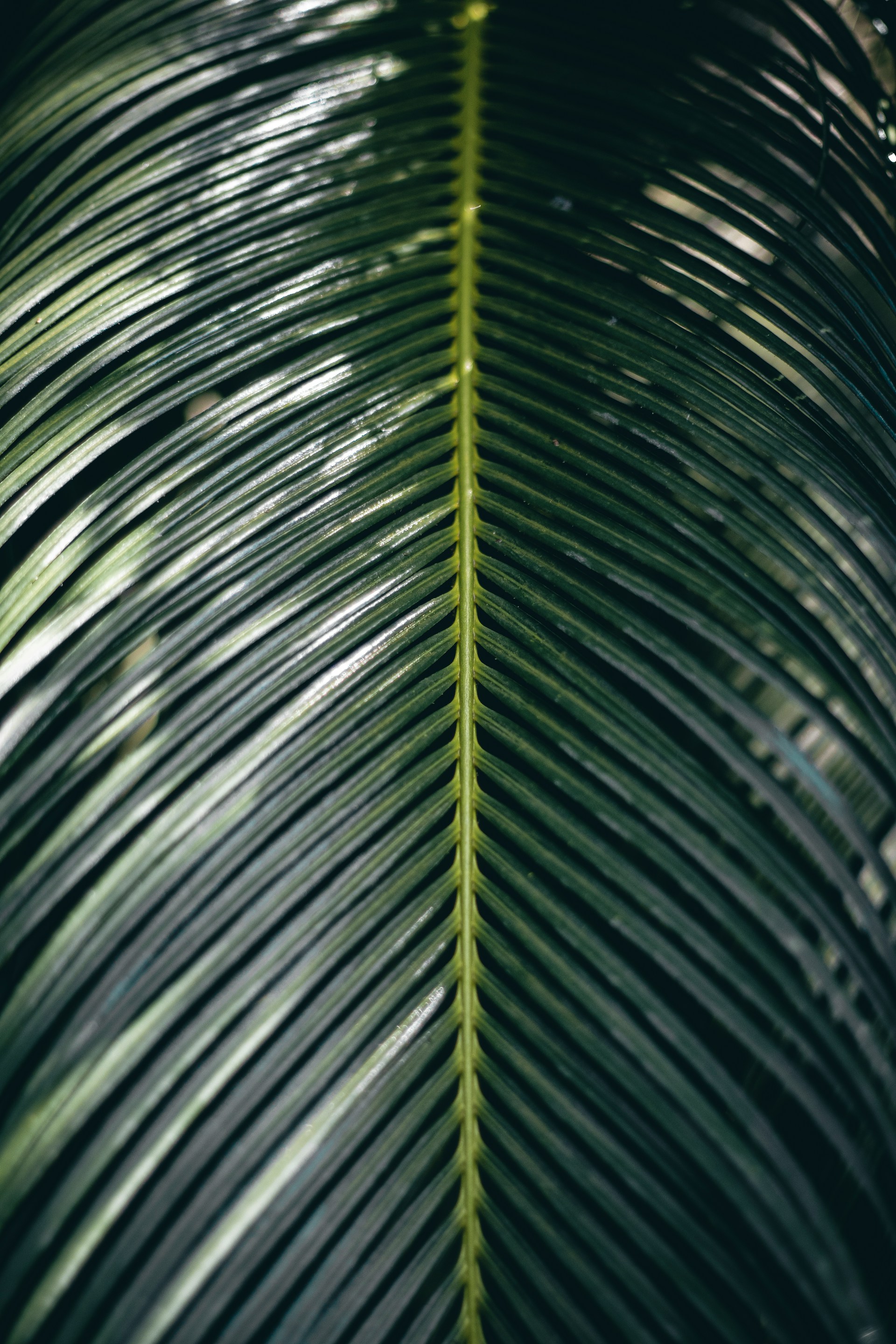 Kacper-Lepieszka-6Cwpw2Abimq-Unsplash