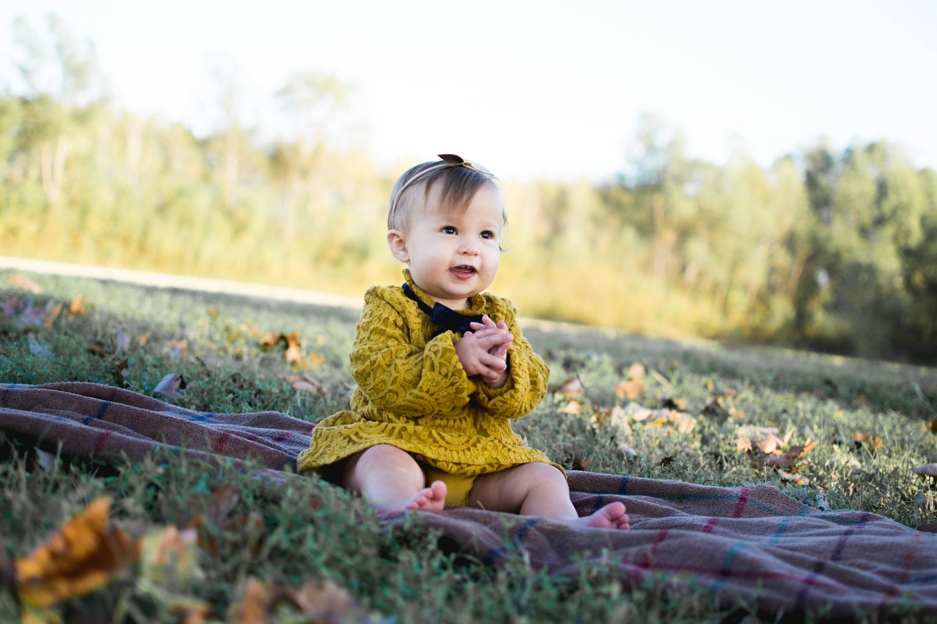 Pexels-J-Carter-53083-713959